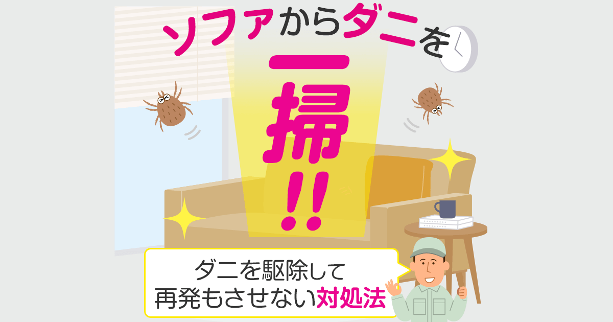 ソファからダニを一掃！！ダニを駆除して再発もさせない対処法