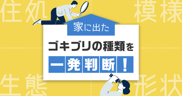ゴキブリの種類　一発判断