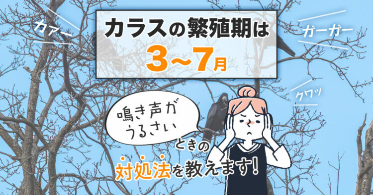 カラスの繁殖期は３月～７月　鳴き声がうるさいときの対処法