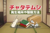 これでバッチリ！チャタテムシの駆除に関して知るべきポイント！
