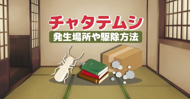チャタテムシ 発生場所や駆除方法