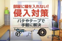 なんで入ってくるの…部屋の中に蟻がいる！その理由と侵入対策法とは