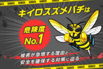 キイロスズメバチを徹底解剖！生態・特徴・危険性が残らずわかる解説