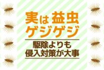 ゲジゲジは駆除してはいけない！えっ……じつは益虫なの？