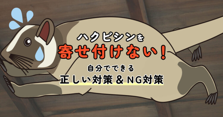 ハクビシンを寄せ付けない！自分でできる正しい対策＆NG対策