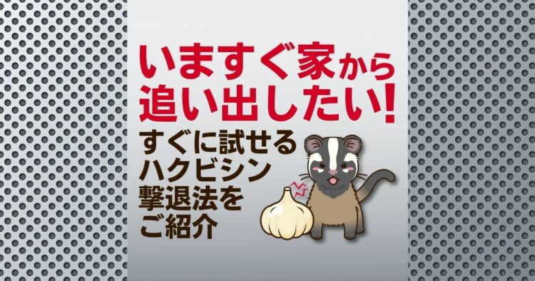 いますぐ家から追い出したい！ すぐに試せるハクビシン撃退法をご紹介