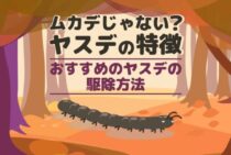 ムカデより小さい多足類の正体とは？細長くて足が多い虫はムカデだけじゃない！