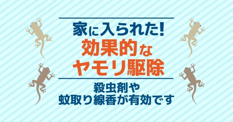 家に入られた！　効果的なヤモリ駆除 殺虫剤や蚊取り線香が有効です