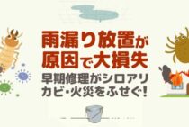 天井雨漏りの原因と工事内容を紹介｜誰でもできる！修理費用を1/10にするコツ