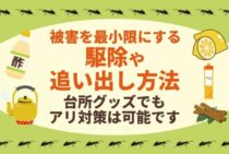 室内にアリが発生？被害を最小限にして追い出すためにやることは？