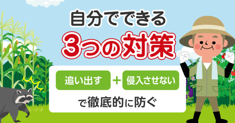 自分でできる３つの対策追い出す＋侵入させないで徹底的に防ぐ