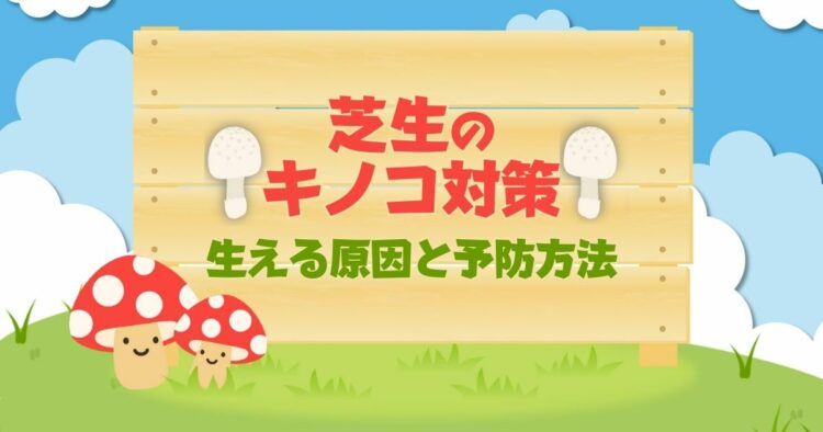 芝生のキノコ対策 生える原因と予防方法