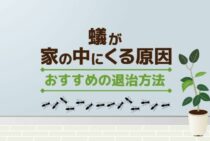 蟻が家の中にくる原因は？正しい対処をしないと集団が発生するかも？