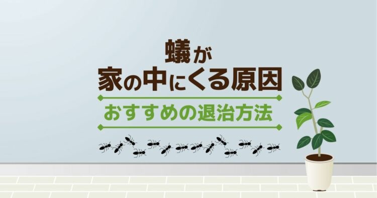 蟻が家の中にくる原因 おすすめの退治方法
