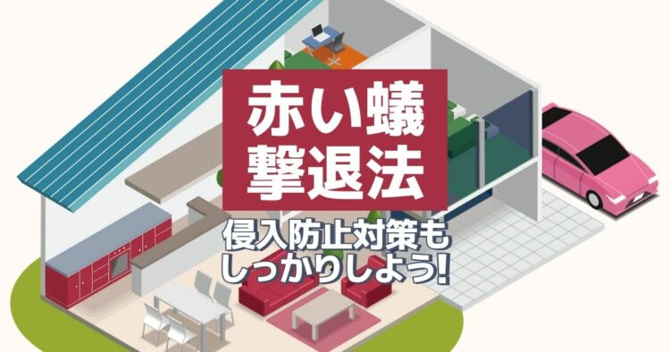 赤い蟻　撃退法 侵入防止対策もしっかりしよう！