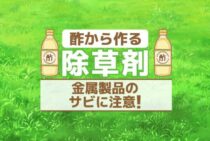 除草剤を酢から作れば安全！酢の除草効果やデメリットについて紹介