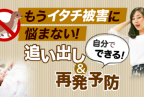 自分でできるイタチ駆除！手軽な追い出し方と寄せ付けない対策方法