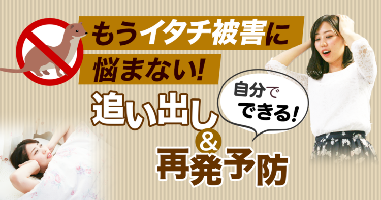 もうイタチ被害に悩まない