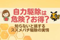 スズメバチ駆除が自力でも安全にできる！蜂に遭遇することなく巣を壊滅できる方法