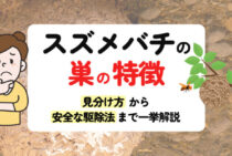 スズメバチの巣が一目でわかる見分け方！危険な蜂が一匹残らずいなくなる安全でお得な対処法