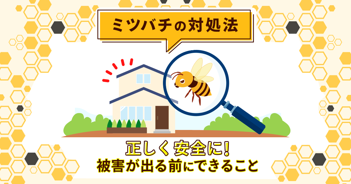 ミツバチの対処法　正しく安全に！被害が出る前にできること