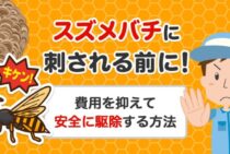 スズメバチ駆除でやってはいけない4つのこと！絶対に刺されずに巣を撤去する最強メソッドを伝授