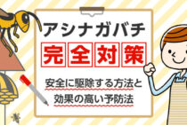 アシナガバチ対策は簡単！巣の被害に悩まないための安全な駆除と予防