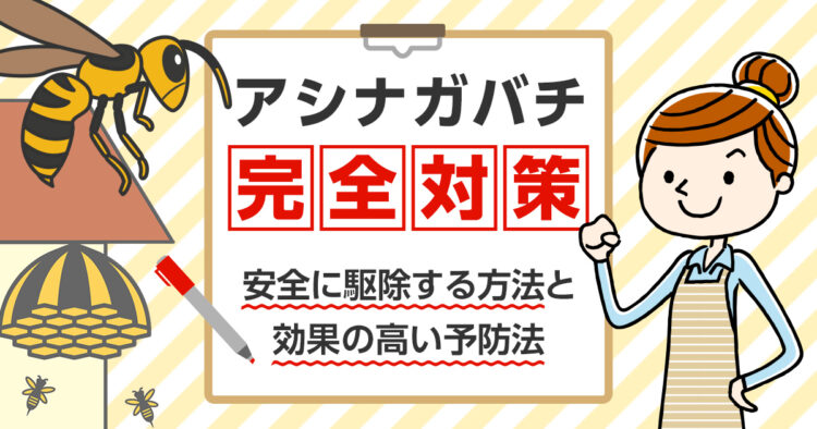 アシナガバチ完全対策