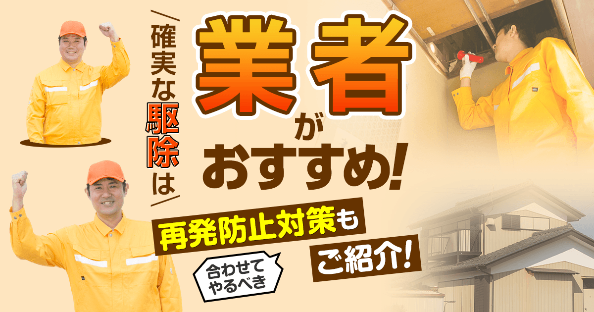 【生活110番】確実な駆除は業者がおすすめ