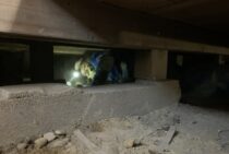 シロアリ駆除を自分でやりきるための条件と手軽な方法｜作業の様子を写真で解説！
