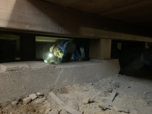 シロアリ駆除を自分でやりきるための条件と手軽な方法｜作業の様子を写真で解説！