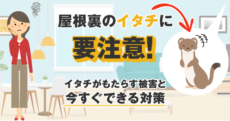屋根裏のイタチに要注意！