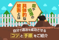 モグラが害獣とされる理由は生態に！危険性と被害拡大を防ぐ効果的な対策
