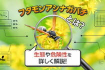 【フタモンアシナガバチの生態】刺されないための対処法をまるっと解説