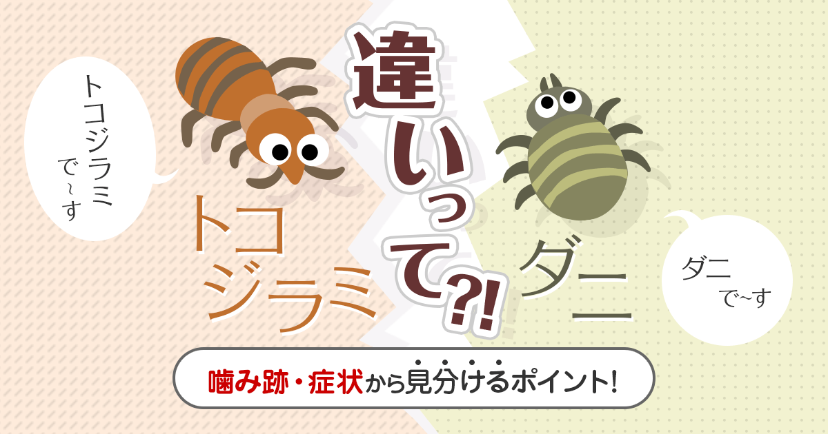 トコジラミとダニの違い噛み跡や症状から見分けるポイント