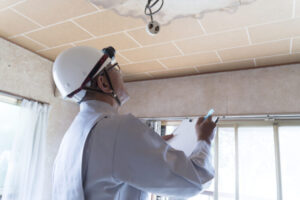 アライグマ・イタチ・ハクビシンの駆除