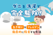 ダニは洗濯しても約7割生き残る！アレルゲンを完全除去する洗濯方法