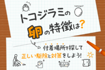 トコジラミの卵の特徴が丸わかり！すぐに駆除して繁殖を防ぐ対策