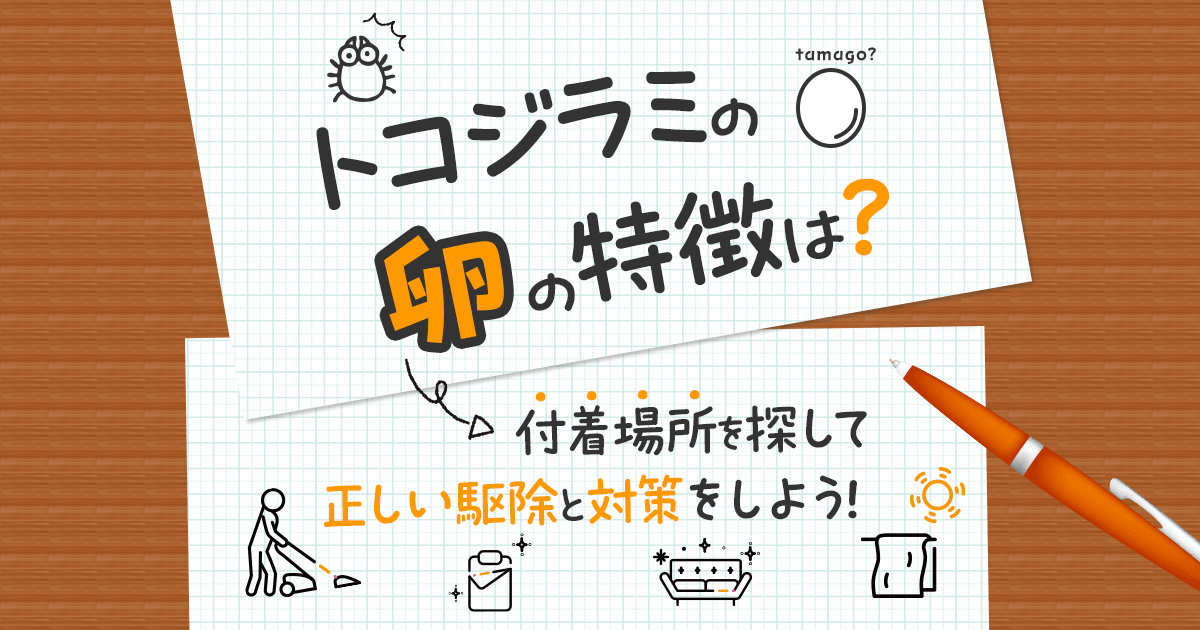 トコジラミの卵の特徴は？付着場所を探して正しい駆除と対策をしよう！