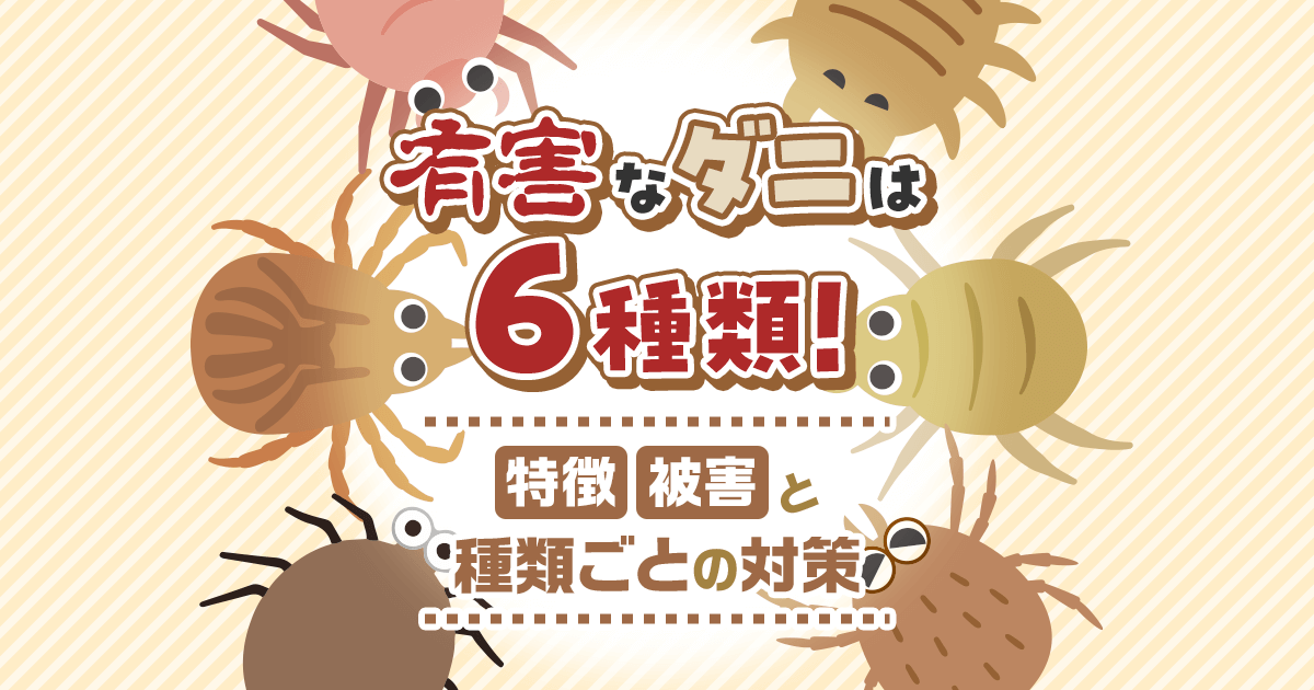 有害なダニは６種類！特徴 被害と種類ごとの対策