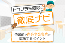 簡単トコジラミ駆除方法｜生息場所を知って効率的に自分で駆除するコツ