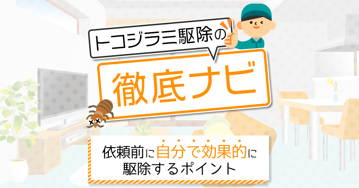 トコジラミ駆除 自分で　効果的に　駆除