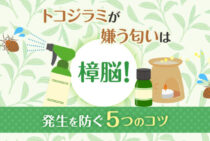 トコジラミが嫌う匂いは樟脳！さらに効果的な対策・退治のテクニックも解説