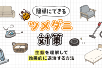 【ツメダニ駆除】1秒でも早くかゆみから解放されたい方必見の対策